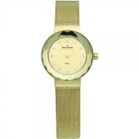 Skagen Women's 456SGSG Gold plated With Swarovski Elements Watch Skagen Women's 456SGSG Gold plated With Swarovski Elements Watch