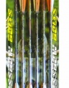 Arrow Precision 6 Pack Carbon Arrows (20-Inch)