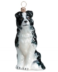 Just begging for a home, this border collie ornament has puppy dog eyes and a beautiful coat in hand-painted glass by Joy to the World. Just begging for a home, this border collie ornament has puppy dog eyes and a beautiful coat in hand-painted glass by Joy to the World.