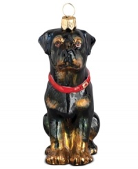 Just begging for a home, this rottweiler ornament has puppy dog eyes and a beautiful coat in hand-painted glass by Joy to the World. Just begging for a home, this rottweiler ornament has puppy dog eyes and a beautiful coat in hand-painted glass by Joy to the World.