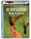 Nature: Hummingbirds