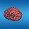 Brain Bloody