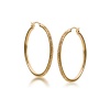 Carolee Gold Over Sterling Silver and Crystal Hoop Earrings