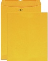 Columbian CO955 6x9-Inch Clasp Brown Kraft Envelopes, 100 Count