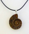 Ammonite Fossil Natural Gemstone Pendant with 18 Black Leather Core Necklace