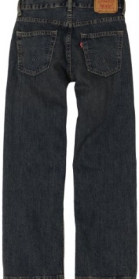 Levi's Boys 8-20 550 Relaxed Fit Jean Slim, DIRTY FADE, 12 Slim Levi's Boys 8-20 550 Relaxed Fit Jean Slim, DIRTY FADE, 12 Slim