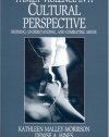 Family Violence in a Cultural Perspective: Defining, Understanding, and Combating Abuse