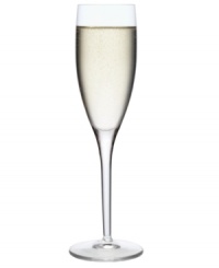Simple and classic, Michelangelo glassware by Luigi Bormioli brings the graciousness of Italian entertaining to your table. These champagne glasses feature softly tapered bowls that retain bubbles with sparkling clarity. Simple and classic, Michelangelo glassware by Luigi Bormioli brings the graciousness of Italian entertaining to your table. These champagne glasses feature softly tapered bowls that retain bubbles with sparkling clarity.