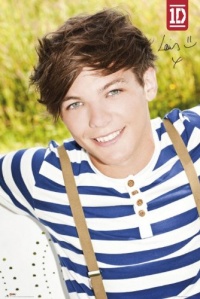 (24x36) One Direction Louis Music Poster