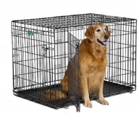 Midwest iCrate Double-Door Folding Metal Dog Crate, 42 Inches by 28 Inches by 30 Inches