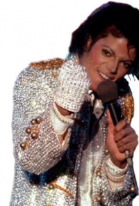 Michael Jackson Sequin Glove Michael Jackson Sequin Glove