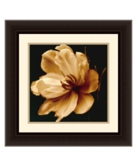 Sepia magnolia. A perfect bloom unfolds in Timeless Grace IV by Charles Britt. Floating on a dark ground, this floral portrait is a fresh perspective on the natural world. Display with the rest of the Timeless Grace series for dramatic effect. In dark espresso frame with raised lip Sepia magnolia. A perfect bloom unfolds in Timeless Grace IV by Charles Britt. Floating on a dark ground, this floral portrait is a fresh perspective on the natural world. Display with the rest of the Timeless Grace series for dramatic effect. In dark espresso frame with raised lip