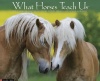 What Horses Teach Us 2013 Wall Calendar