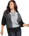 Team your fave jeans with Style&co.'s colorblocked plus size sweater, finished by a cowl neckline.