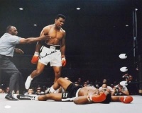 Signed Muhammad Ali Photograph - Over Liston 16X20 STEINER - Autographed Boxing Photos Signed Muhammad Ali Photograph - Over Liston 16X20 STEINER - Autographed Boxing Photos