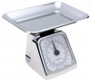 Salter 074 22-Pound Extra High Capacity Mechanical Kitchen Scale with Tray, Chrome