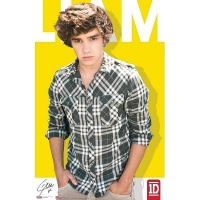 (24x36) One Direction Liam Payne Yellow Music Poster (24x36) One Direction Liam Payne Yellow Music Poster