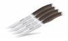 Anolon Advanced Bronze Collection Santoprene Cutlery 4-Piece Steak Set, Bronze