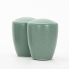 Noritake Colorwave Salt and Pepper Shakers, Green