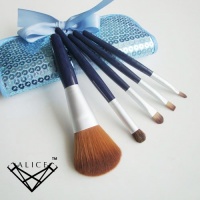 Alice Mini 5 Makeup Brush Set And Case - Premium Collection, Gift idea Alice Mini 5 Makeup Brush Set And Case - Premium Collection, Gift idea