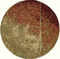 Area Rug 8x8 Round Contemporary Leaf Color - Momeni Impressions Rug from RugPal Area Rug 8x8 Round Contemporary Leaf Color - Momeni Impressions Rug from RugPal