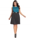 Delight from day to play in NY Collection's sleeveless plus size dress, defined by a flattering A-line shape.