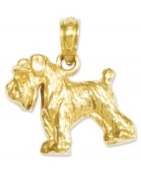 Honor your favorite breed. This polished charm features an intricately-carved Schnauzer dog in 14k gold. Chain not included. Approximate length: 7/10 inch. Approximate width: 3/5 inch. Honor your favorite breed. This polished charm features an intricately-carved Schnauzer dog in 14k gold. Chain not included. Approximate length: 7/10 inch. Approximate width: 3/5 inch.