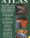 Dr Axelrods Mini Atlas of Freshwater Aquarium Fishes (Dr. Axelrod's Atlas of Freshwater Aquarium Fishes)