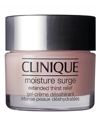 Enjoy rapid refreshment and a full 24 hours of soothing moisture with an addictive by-a-waterfall feel. Thank advanced hydration boosters and a new botanical blend that locks it in. Able to hold skins moisture in balance through stressful shifts in humidity, like steamy exteriors and interiors parched by air conditioning. Never go thirsty again. Enjoy rapid refreshment and a full 24 hours of soothing moisture with an addictive by-a-waterfall feel. Thank advanced hydration boosters and a new botanical blend that locks it in. Able to hold skins moisture in balance through stressful shifts in humidity, like steamy exteriors and interiors parched by air conditioning. Never go thirsty again.