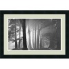 Morning, Harding Park, San Francisco by Mark Citret, Framed Print Art - 18.07 x 24.57