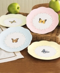 Serve dessert with as much variety as you can. Each plate in this set of four dessert plates comes with a different butterfly at its center, and a different colored border around it-pale yellow, blue, pink, or green. The result is a sense of calm and varied beauty as simple as a country meadow. Serve dessert with as much variety as you can. Each plate in this set of four dessert plates comes with a different butterfly at its center, and a different colored border around it-pale yellow, blue, pink, or green. The result is a sense of calm and varied beauty as simple as a country meadow.