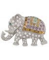Animal attraction. Carolee supports a worthy cause with this piece from its 40th Anniversary Legacy Collection. The elephant pin is crafted from silver-tone mixed metal and features glass accents for added appeal. Approximate height: 1-1/4 inches. Approximate width: 2 inches.