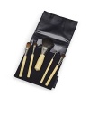 CHIC TRAVEL BRUSH KIT: This collection of conveniently scaled down brushes, comfortably nestled in a chic navy case, can address every makeup need. It's especially handy for women on the go who choose to look pulled together wherever they travel. Contains Cheek, Eye Basic, Eye Liner, Eye Perfector and Concealer brushes with full-sized heads with shorter handles. 