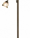 Normande Lighting JM1-884 71-Inch 100-Watt Incandescent Torchiere Floor Lamp with 40-Watt Side Reading Lamp