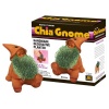 Chia Gnome