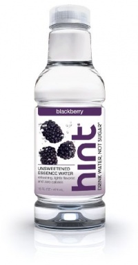 Hint Premium Essence Water, Blackberry, 16-Ounce Bottles (Pack of 12)