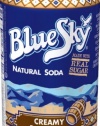 Blue Sky Root Beer,  12-Ounce Cans (Pack of 24)