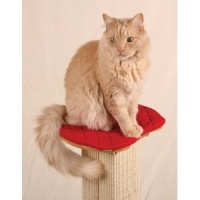 SmartCat Perch for the Ultimate Scratching Post