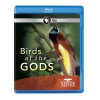 Nature: Birds of the Gods [Blu-ray]