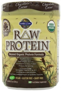 Garden of Life Raw Organic Protein Chocolate, 650 Gram