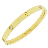 Stainless Steel Yellow Gold Tone Screw Design White Crystals Womens Bracelet Stainless Steel Yellow Gold Tone Screw Design White Crystals Womens Bracelet