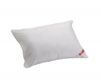 Aller-Ease Hot Water Washable Allergy Pillow, Standard, Firm Aller-Ease Hot Water Washable Allergy Pillow, Standard, Firm