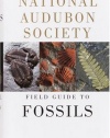 National Audubon Society Field Guide to North American Fossils