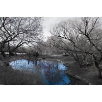 Central Park in Black and White with Blue Pond, Photography Poster Print, 24 by 36-Inch Central Park in Black and White with Blue Pond, Photography Poster Print, 24 by 36-Inch
