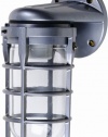 Designers Edge L1707 Outdoor Weatherproof Industrial Wall Mount Light Fixture with Metal Cage Bulb Protector, 150-Watt