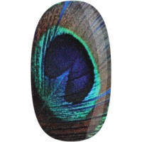 SKINZ by Babe Nail Wrap, Peacock, 1 Ounce SKINZ by Babe Nail Wrap, Peacock, 1 Ounce