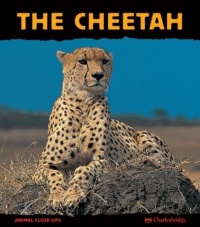The Cheetah: Fast as Lightning (Animal Close-Ups) The Cheetah: Fast as Lightning (Animal Close-Ups)