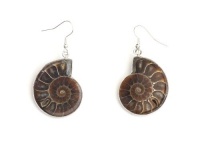 Ammonite Fossil Dangle Earrings Silver Tone Prehistoric Nautilus Statement Fashion Jewelry