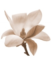 Create an unforgettable impression with Leftbank's canvas print of the noble magnolia flower. Gorgeously photographed up close and finished in a romantic sepia wash, it's the ultimate in visually stunning wall décor. Create an unforgettable impression with Leftbank's canvas print of the noble magnolia flower. Gorgeously photographed up close and finished in a romantic sepia wash, it's the ultimate in visually stunning wall décor.
