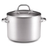 Anolon Chef Clad 8-Quart Covered Stockpot